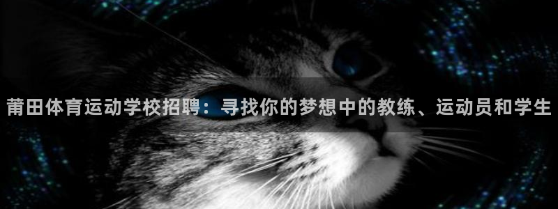 3377体育app下载安装