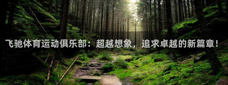 3377体育是正规的吗