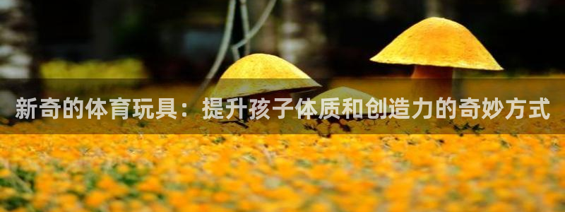 3377体育全网