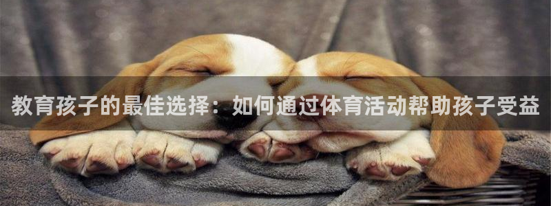 3377体育平台