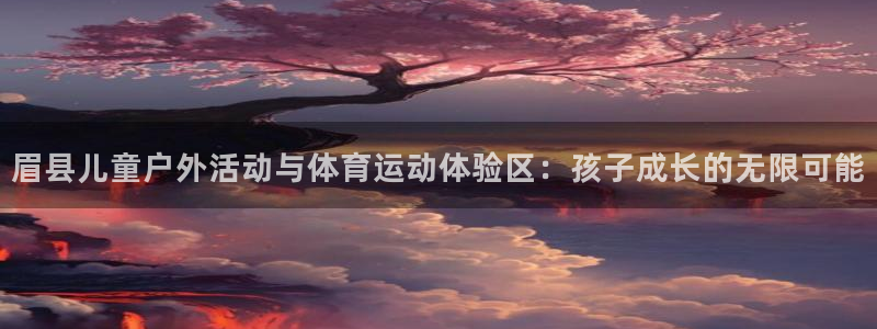 3377体育com