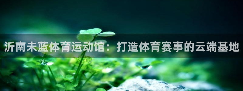 3377体育全网