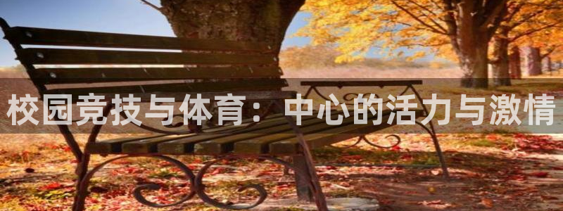 3377体育app登录入口
