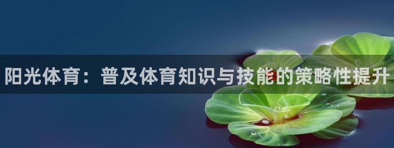3377体育在线