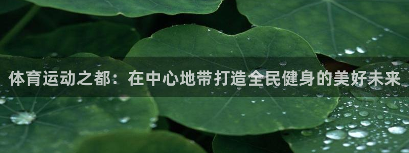 3377体育官网入口网页版