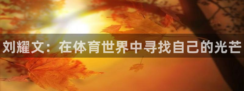 3377体育app官方下载