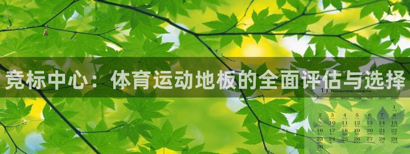 3377体育app下载安装