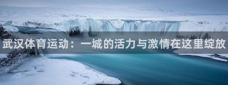 3377体育官网下载