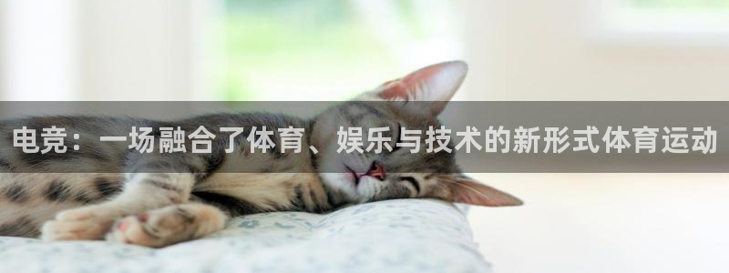 3377体育是正规的吗
