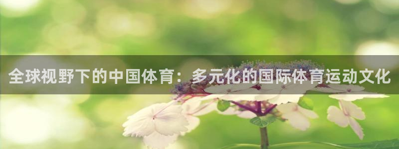 3377体育手机平台