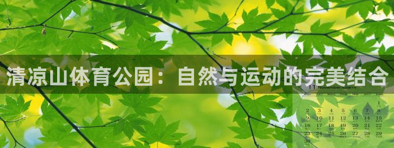 3377体育在线