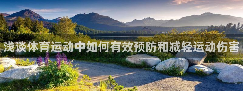 3377体育官网入口网页版