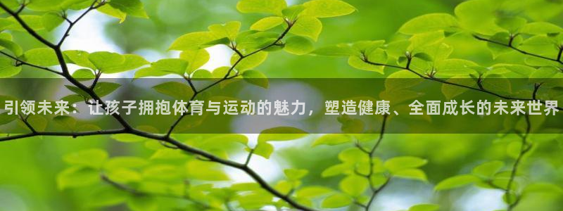 3377体育靠谱吗