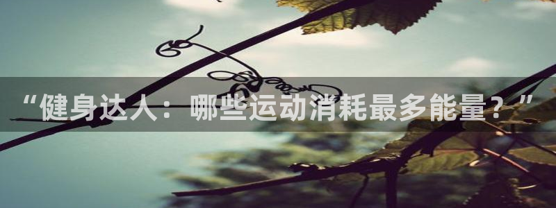 3377体育官网
