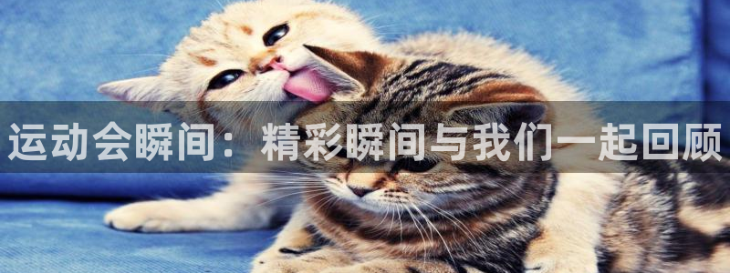 3377体育靠谱吗