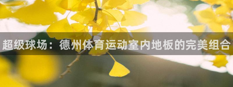3377体育app下载安装