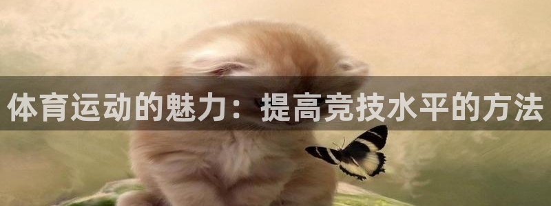 3377体育官网入口网页版