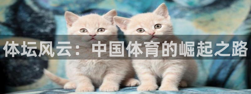 3377体育全网