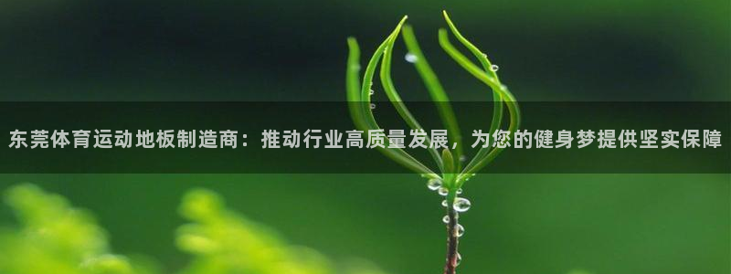 3377体育在线登录官网入口