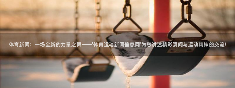 3377体育全网