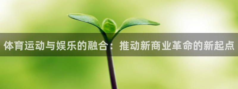 3377体育官网下载