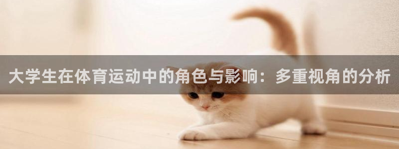 3377体育是正规平台吗