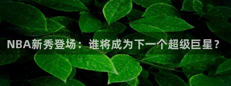 3377体育app官方下载