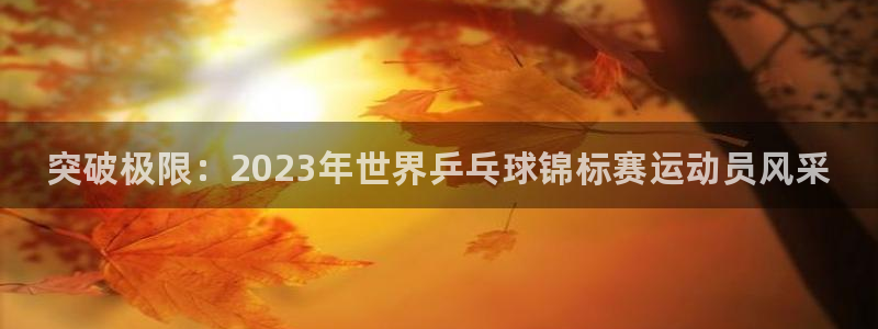 3377体育网页登录入口
