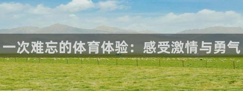 3377体育app下载安装