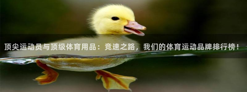 3377体育平台