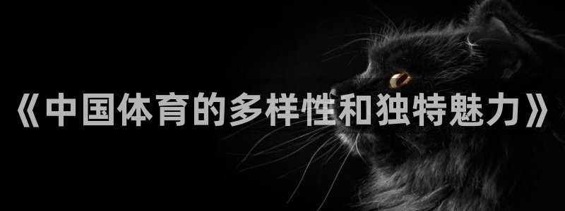 3377体育官网入口网页版