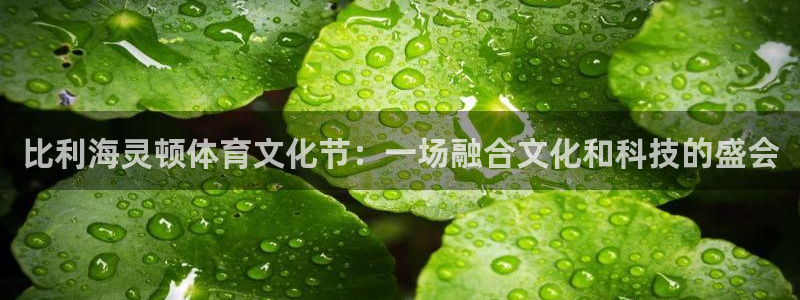 3377体育官方app下载