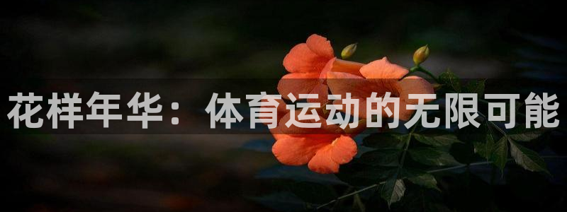 3377体育官网下载