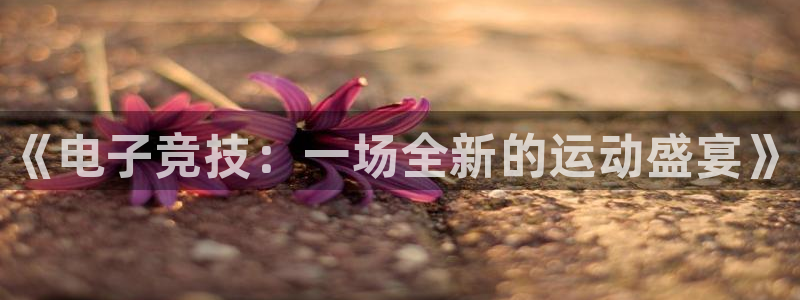 3377体育是正规的吗