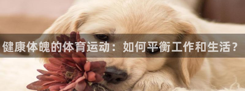3377体育官网下载