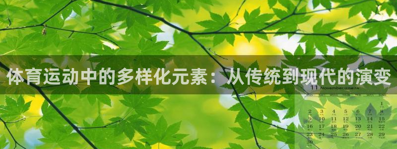 3377体育网页登录入口