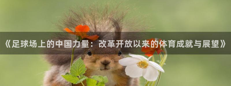 3377体育是正规平台吗