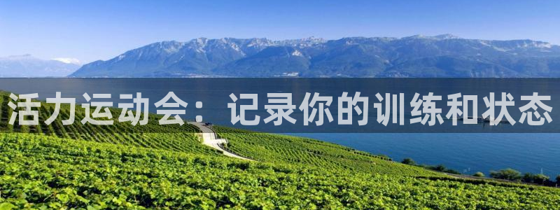 3377体育app官方下载