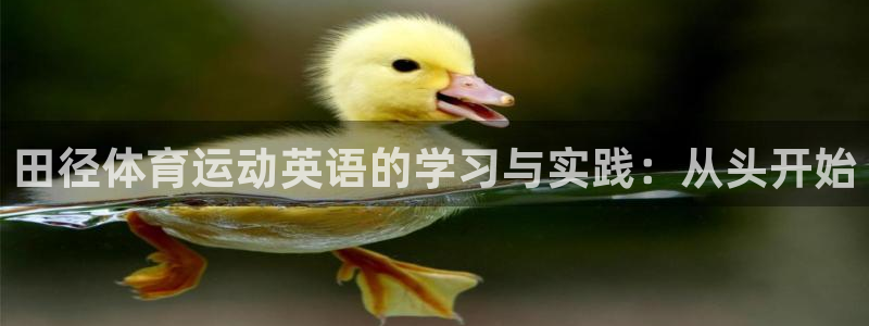3377体育官方app下载