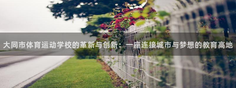 3377体育网页登录入口
