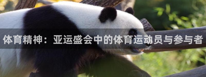 3377体育中国官方网站入口