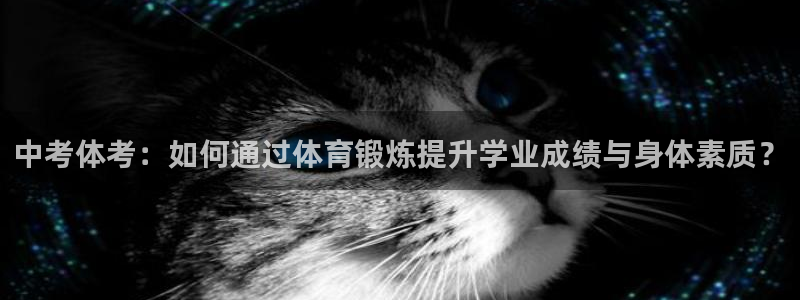 3377体育app下载安装