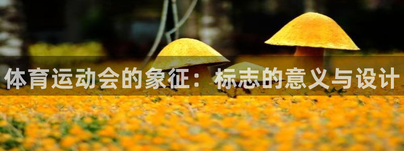 3377体育是正规的吗