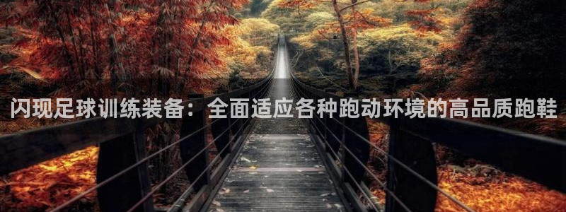 3377体育官网入口网页版