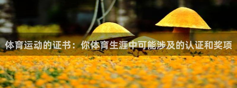 3377体育app登录入口
