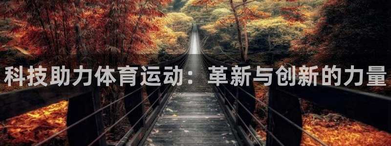 3377体育官网入口下载最新