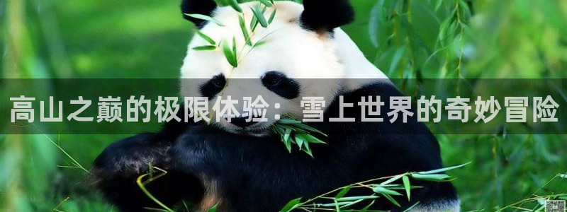 3377体育(中国)官方网站