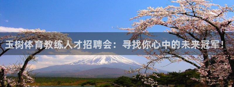 3377体育app下载安装