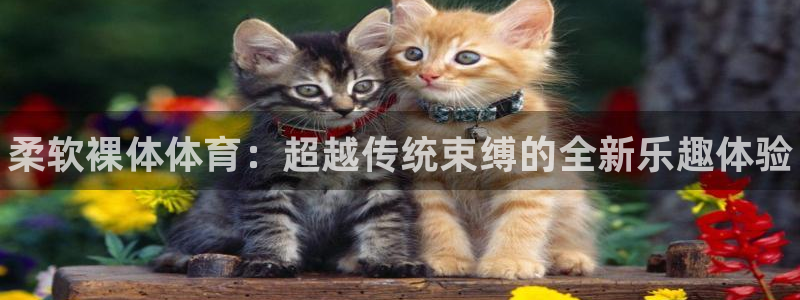 3377体育在线登录官网入口
